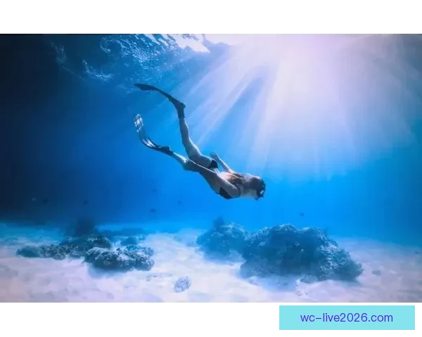 世界杯足球竞猜深度分析与胜负趋势预测技巧全面指南